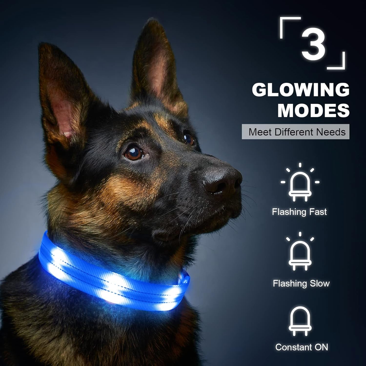Light up Dog Collars - USB Rechargeable Reflective Glowing Puppy Collar, Adjustable LED Pet Collar Lights for Night Dog Walking (Large, Blue)